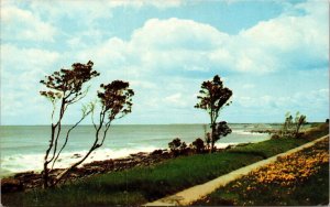 New Hampshire Seashore Drive Scenic Coastline Chrome Cancel WOB Postcard 