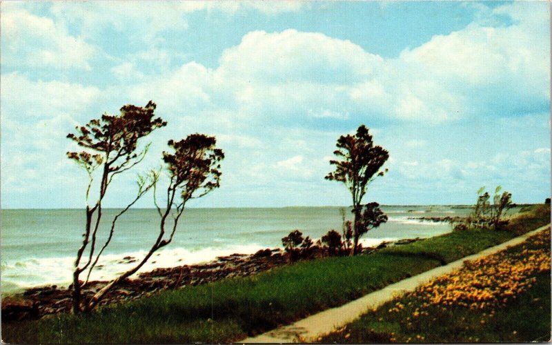 New Hampshire Seashore Drive Scenic Coastline Chrome Cancel WOB Postcard 