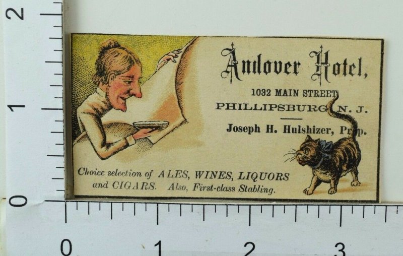 Andover Hotel Ales Liquors Cigars & Stabling Man Wallpaper Tabby Cat F65