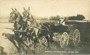 Lake City Minnesota Mountain Ash Stock Farm Buggy RPPC Photo Postcard 21-7417