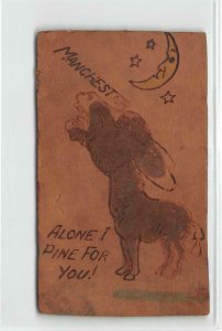 Alone I Pine For You Manchester, Iowa Donkey Comic 1906 Vintage Leather Postcard