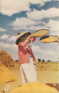 Postcard Philippines Farm Agriculture 1950s Roberts C353 23-2759