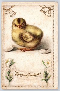 1924 Easter Greetings Chick Bells Flowers Bordered Wishes Card Posted Postcard