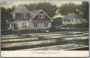 MANCHESTER IA US FISH HATCHERY ANTIQUE POSTCARD