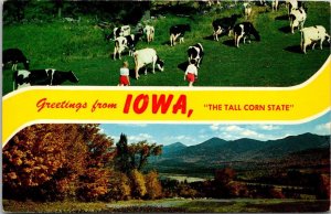 Greetings From Iowa The Tall Corn State