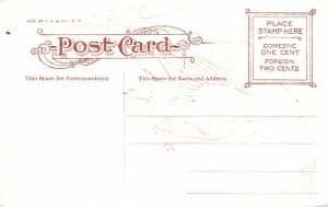 Eagle & Flag USA Unused 