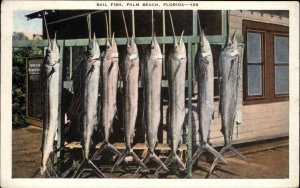 Palm Beach Florida FL Sail Fish Fishing Vintage Postcard