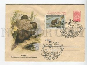 436735 USSR 1960 year Komarov Protect useful animals beavers postal COVER