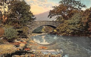 A031 Scotland Brig o' Turk Trossachs bridge vintage postcard