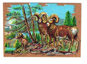 5 X 7 inch Wild Sheep, Vintage Cork Postcard Made in France