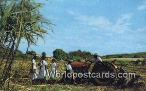 Indian Cane Farmer Fiji Fiji, Fijian Unused 