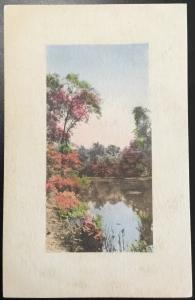 Postcard Never mailed but addressed “Lake/Trees” Hand Coloredd LB