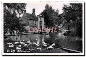 Old Postcard Entree Du Beguinage Bruges Swans