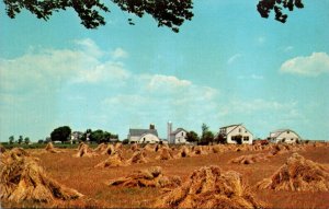 Pennsylvania Greetigs From The Amish Country Wheat Harvest and Amish Farm