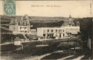 CPA BOIS-de-CISE Cote des Mouettes (19138)