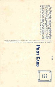 Mayo Clinic Rochester Minnesota linen postcard