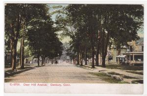 Deer Hill Avenue Danbury Connecticut 1910c postcard