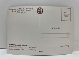 Tooloombah Creek Australian Outback Postcard