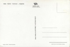 Turkey native dance folklore costumes postcard