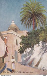 The Bay Of Naples, Street In Capri, 1900-1910s; TUCK 7373