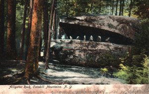 Vintage Postcard 1906 Alligator Rock Catskill Mountains New York Illustrated Pos