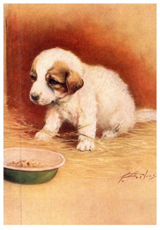 Dog , Pyrenean Mountain Dog     artist signed