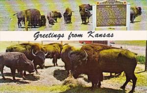 Old Fort Hays Buffalo Reservation Hays Kansas Greetings From Kansas
