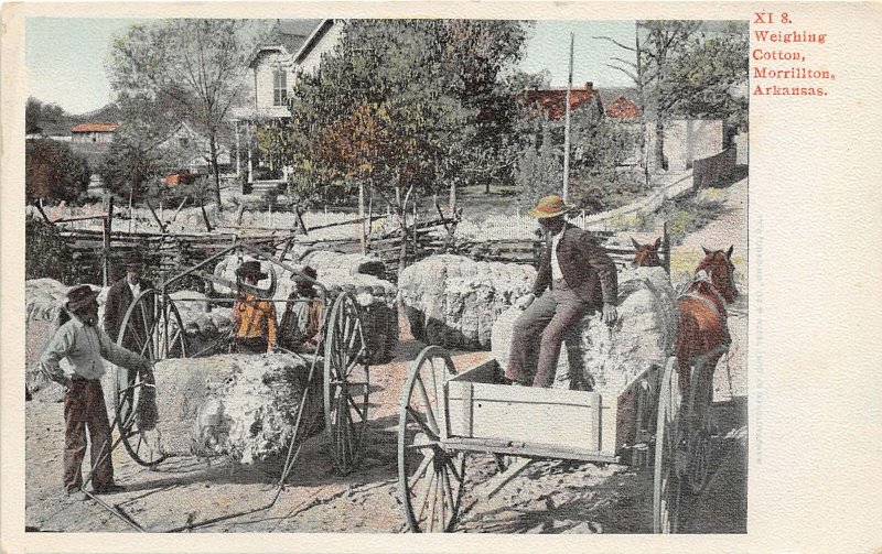 Weighing Cotton Bales Morrillton Arkansas postcard