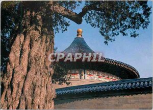 Modern Postcards A Corner of Tiantan Park Temple of Heaven