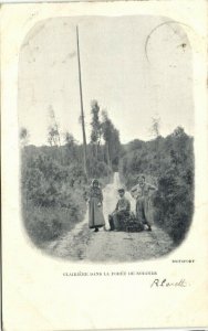 belgium, BOSVOORDE BOITSFORT, Clairière dans la Forêt de Soignes (1904) Postcard