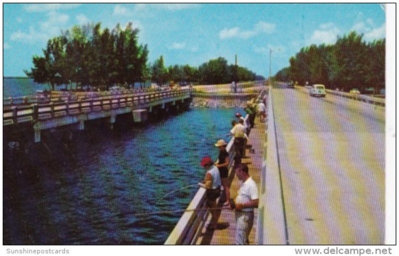 Bridge Fishing From The Catwalks Of The Gandy Twin Bridges Between Tampa and ...