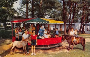 Burlington Wisconsin Browns Lake Resort Merry-Go-Round Vintage Postcard AA51018