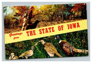Vintage 1960's Postcard Greetings From Iowa - Hunter & Dog - Turkeys