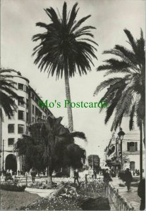 Tunisia Postcard - Tunis - Place De L'Independance  RRR1236