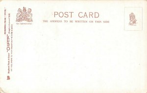 Raphael Tuck Hope Ahead Pickings From Puck Postcard 