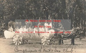 NE, Plainview, Nebraska, RPPC, Parade Float Woman's Suffrage Wait & See Club