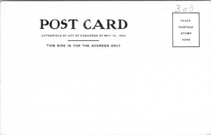 New Albany Indiana Carnegie Library Undivided Back    - A20