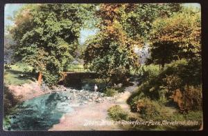 Doan Brook at Rockefeller Park, Cleveland, OH 1909 The Cleveland News Co. D5813