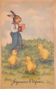 Easter Greetings Dressed Bunny Rabbit playing Accordion to Chicks PC AA65938