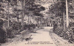 France Baule-les-Pins Au Parc des Dryades Avenue et Sous-Bois