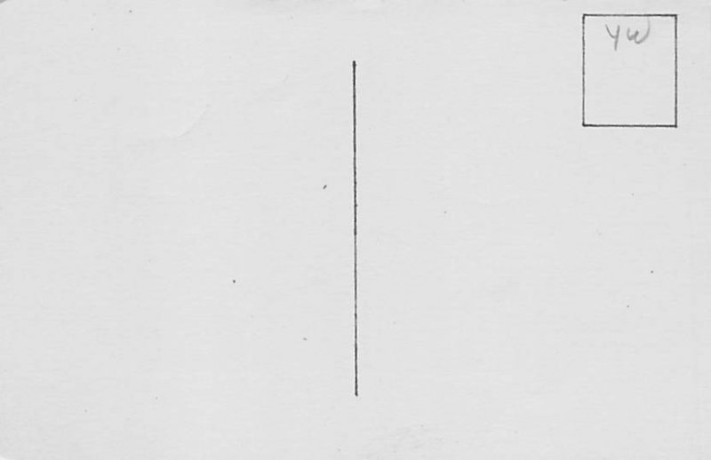 Single Racoon Raccoon Unused 