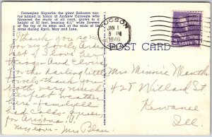 1946 Sahuaro Blossoms Arizona's State Flower Carnegiea Gigantia Posted Postcard