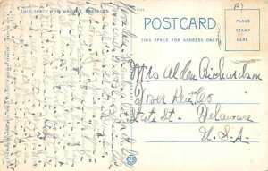 Mandeville Hotel Jamaica Writing on back 