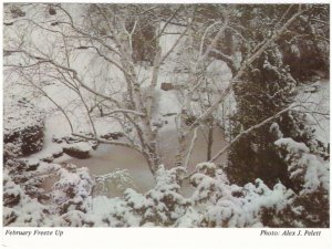 February Freeze Up, Hamilton, Ontario, Chrome Postcard