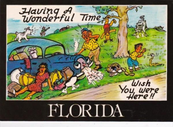 Florida Humour Couple With Broke Down Car Having A Wonderful Time Hippostcard