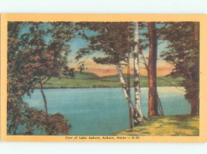 Linen LAKE SCENE Auburn Maine ME AE4558