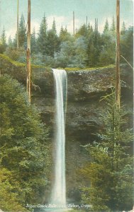 Salem Oregon Silver Creek Falls Waterfall Litho Postcard Used