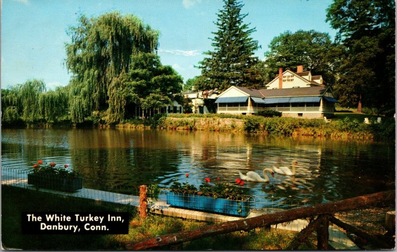 DANBURY CT The White Turkey Inn Postcard - Connecticut VINTAGE COLOR POSTED