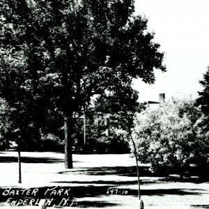 1954 Enderlin North Dakota Baxter Park Trees Unused Real Photo Postcard RPPC A2