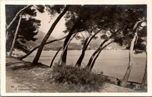 VINTAGE POSTCARD A VIEW OF THE CITY OF MENTON FRANCE THROUGH THE PINE TREES